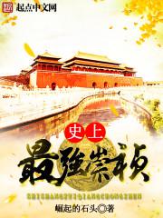 帝皇分身系统