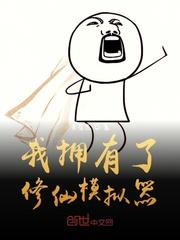 从海贼王开始打卡签到