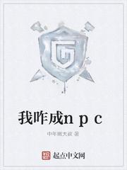 上京审刑录