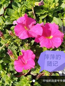 我从海岛走向长生