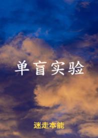 十九世纪女作家